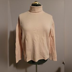 Ann Taylor Turtleneck
